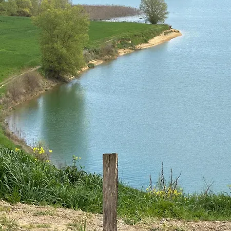 Domaine Du De Montpitol
